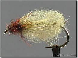 Re: OSección Montaje